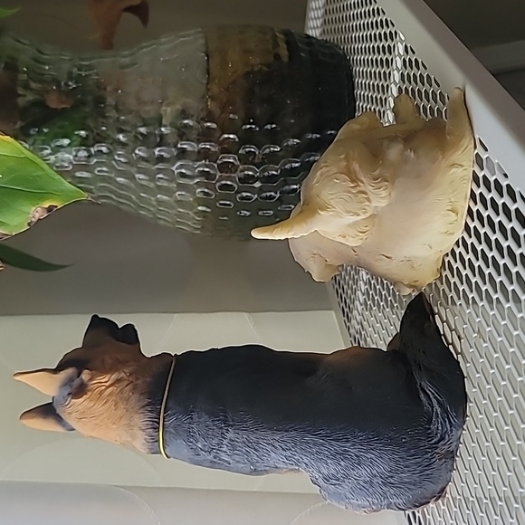 Dog and puppies figurines - Picture 4 of 4